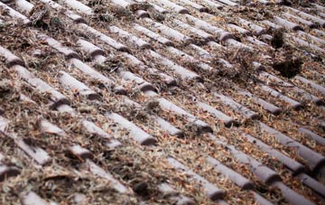 Brownedge roof cleaning companies