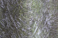 Brownedge fibreglass roof work